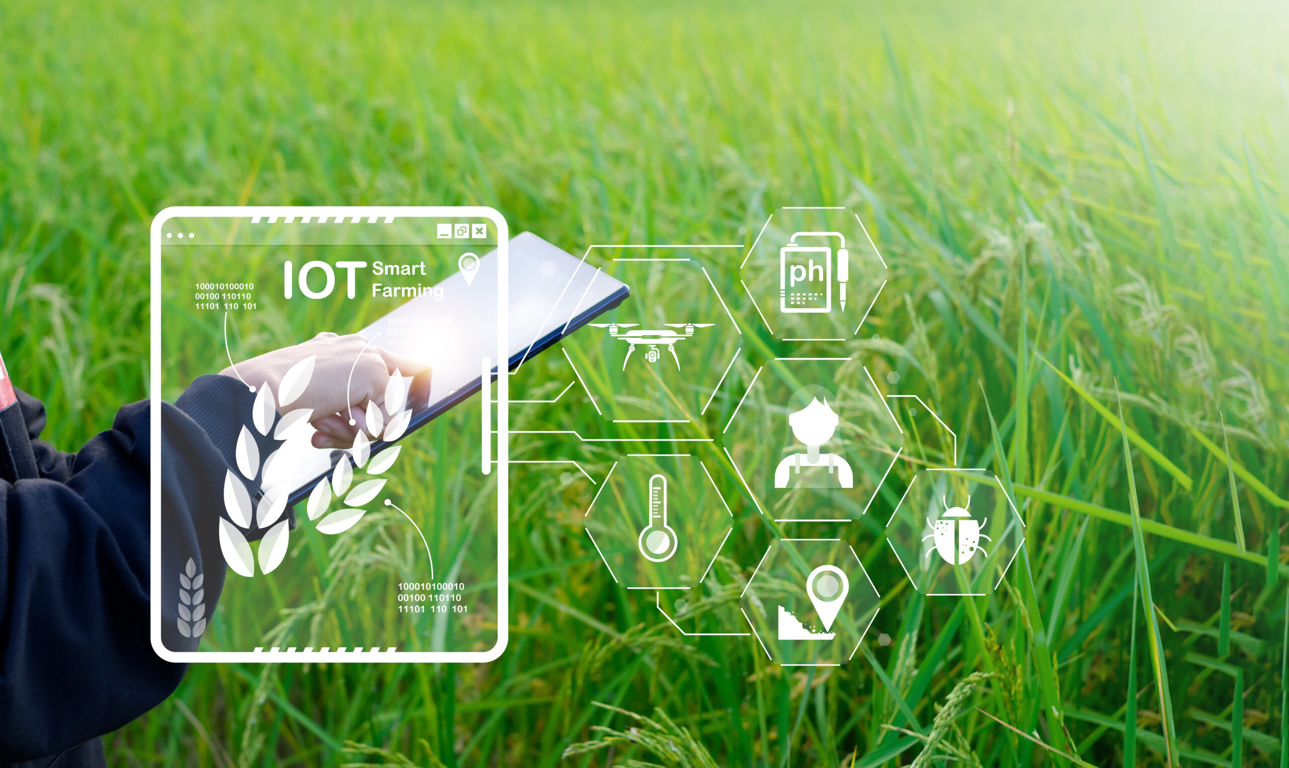 CoC in Internet of Things (Smart Energy Management)
